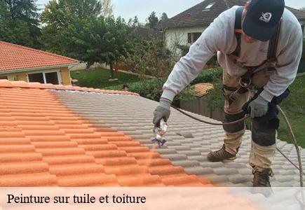 Peinture sur tuile et toiture 25 Doubs  Entreprise Net 25 