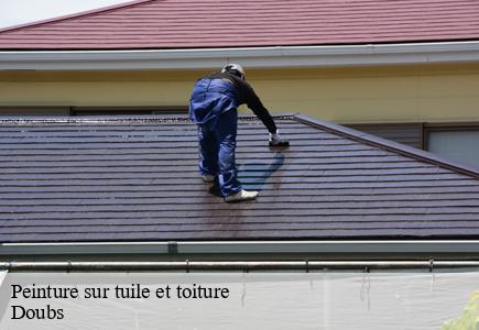 Peinture sur tuile et toiture 25 Doubs  Entreprise Net 25 