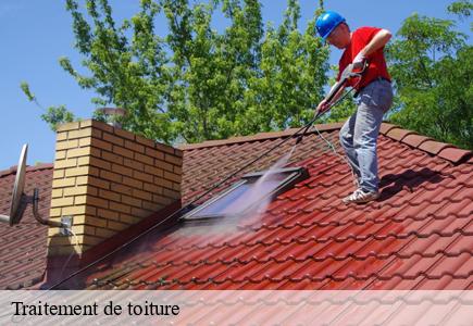 Traitement de toiture 25 Doubs  Entreprise Net 25 