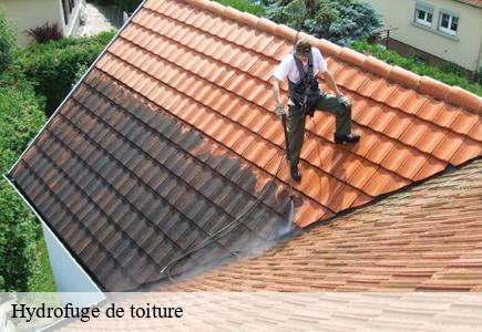 Hydrofuge de toiture 25 Doubs  Entreprise Net 25 