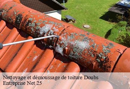 Nettoyage et démoussage de toiture 25 Doubs  Entreprise Net 25 