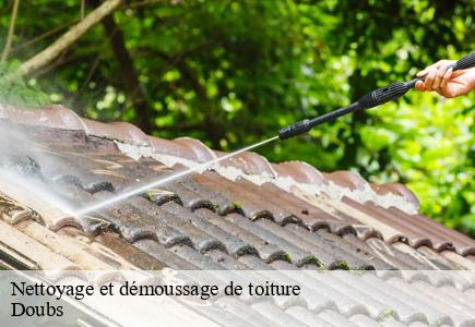 Nettoyage et démoussage de toiture 25 Doubs  Entreprise Net 25 