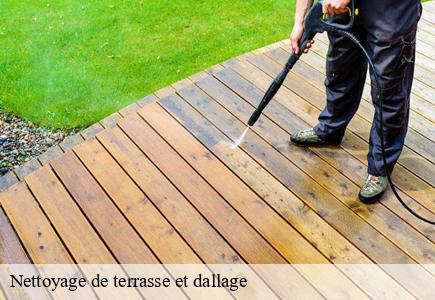 Nettoyage de terrasse et dallage   accolans-25250 Entreprise Net 25 