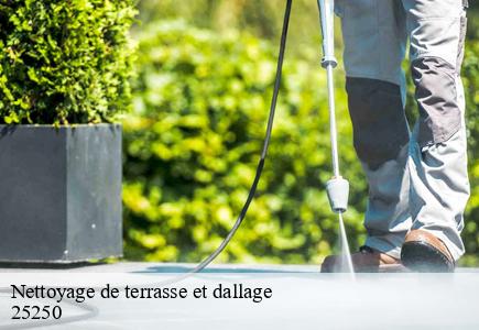 Nettoyage de terrasse et dallage   accolans-25250 Entreprise Net 25 