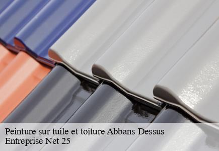 Peinture sur tuile et toiture  abbans-dessus-25440 Entreprise Net 25 