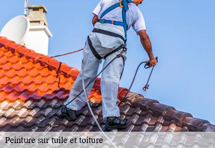 Peinture sur tuile et toiture  abbans-dessus-25440 Entreprise Net 25 