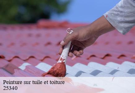 Peinture sur tuile et toiture  abbenans-25340 Entreprise Net 25 