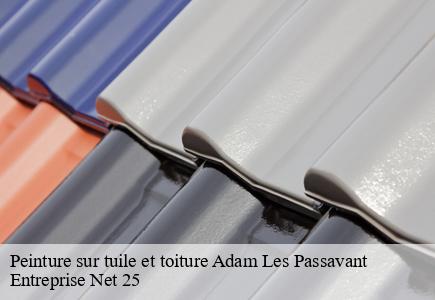 Peinture sur tuile et toiture  adam-les-passavant-25360 Entreprise Net 25 