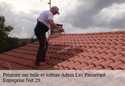 Peinture sur tuile et toiture  adam-les-passavant-25360 Entreprise Net 25 