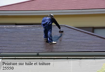 Peinture sur tuile et toiture  allondans-25550 Entreprise Net 25 