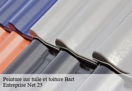 Peinture sur tuile et toiture  bart-25420 Entreprise Net 25 