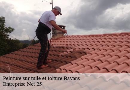 Peinture sur tuile et toiture  bavans-25550 Entreprise Net 25 