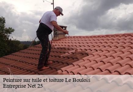 Peinture sur tuile et toiture  le-boulois-25140 Entreprise Net 25 