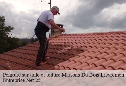 Peinture sur tuile et toiture  maisons-du-bois-lievremon-25650 Entreprise Net 25 