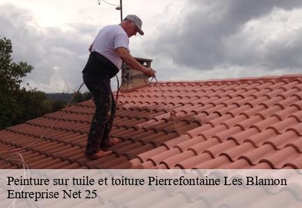 Peinture sur tuile et toiture  pierrefontaine-les-blamon-25310 Entreprise Net 25 