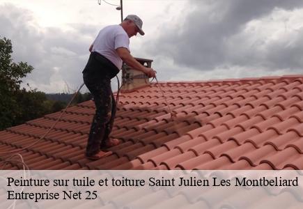 Peinture sur tuile et toiture  saint-julien-les-montbeliard-25550 Entreprise Net 25 