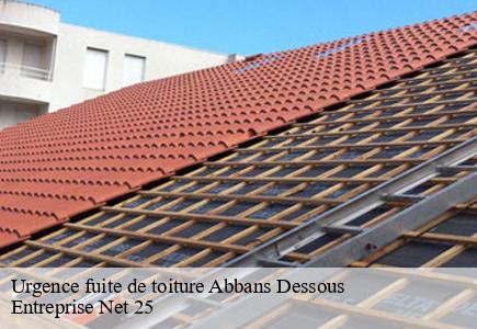 Urgence fuite de toiture  abbans-dessous-25320 Entreprise Net 25 