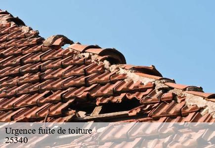 Urgence fuite de toiture  anteuil-25340 Entreprise Net 25 