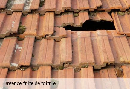 Urgence fuite de toiture  anteuil-25340 Entreprise Net 25 