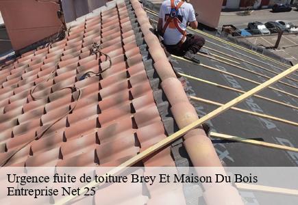 Urgence fuite de toiture  brey-et-maison-du-bois-25240 Entreprise Net 25 