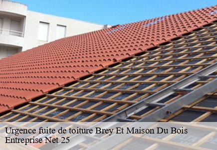 Urgence fuite de toiture  brey-et-maison-du-bois-25240 Entreprise Net 25 