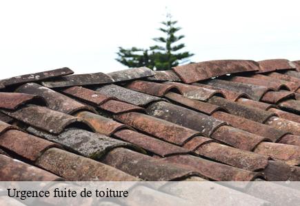 Urgence fuite de toiture  byans-sur-doubs-25320 Entreprise Net 25 