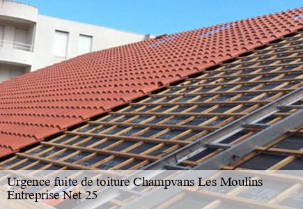 Urgence fuite de toiture  champvans-les-moulins-25170 Entreprise Net 25 