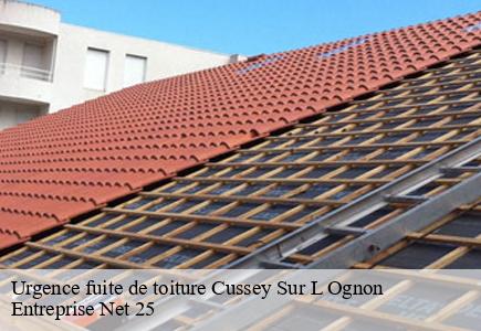 Urgence fuite de toiture  cussey-sur-l-ognon-25870 Entreprise Net 25 