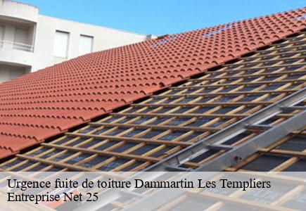 Urgence fuite de toiture  dammartin-les-templiers-25110 Entreprise Net 25 