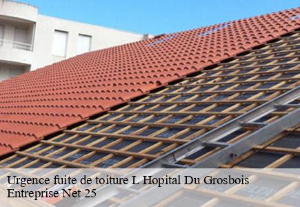 Urgence fuite de toiture  l-hopital-du-grosbois-25620 Entreprise Net 25 