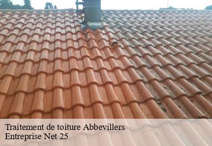 Traitement de toiture  abbevillers-25310 Entreprise Net 25 