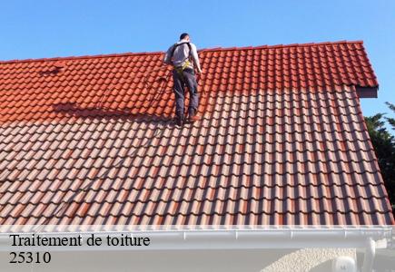 Traitement de toiture  abbevillers-25310 Entreprise Net 25 