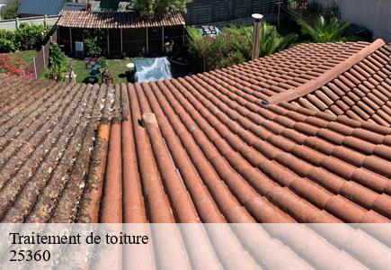 Traitement de toiture  adam-les-passavant-25360 Entreprise Net 25 