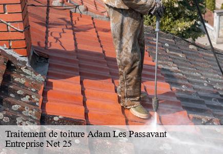 Traitement de toiture  adam-les-passavant-25360 Entreprise Net 25 