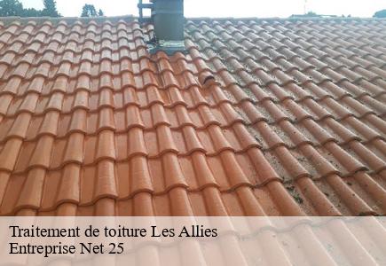 Traitement de toiture  les-allies-25300 Entreprise Net 25 