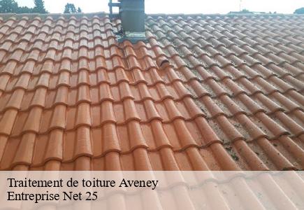 Traitement de toiture  aveney-25720 Entreprise Net 25 