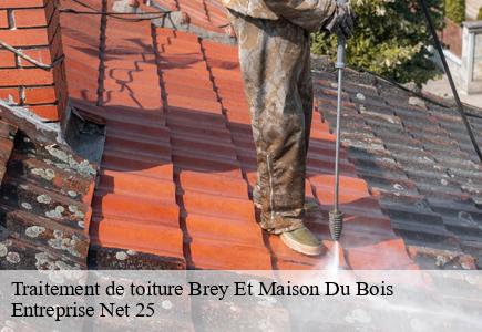 Traitement de toiture  brey-et-maison-du-bois-25240 Entreprise Net 25 