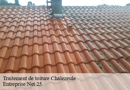 Traitement de toiture  chalezeule-25220 Entreprise Net 25 