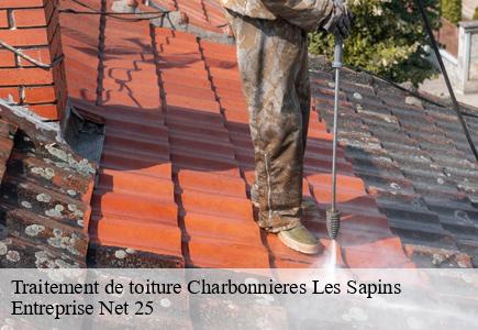 Traitement de toiture  charbonnieres-les-sapins-25620 Entreprise Net 25 