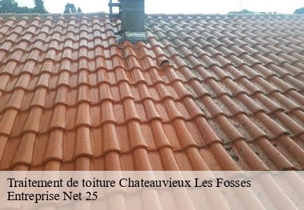 Traitement de toiture  chateauvieux-les-fosses-25840 Entreprise Net 25 