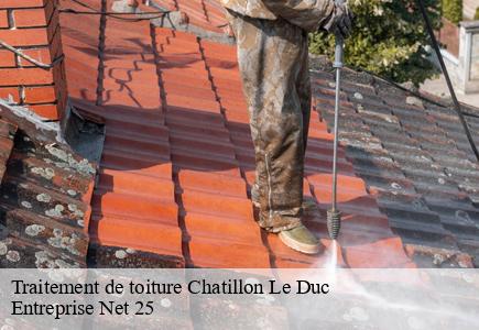 Traitement de toiture  chatillon-le-duc-25870 Entreprise Net 25 