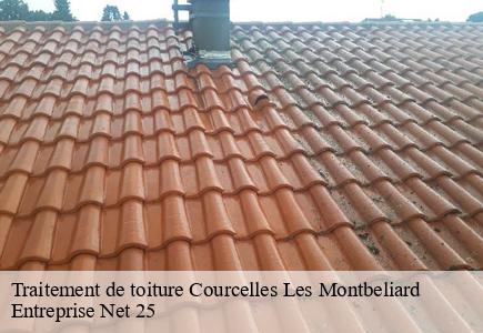 Traitement de toiture  courcelles-les-montbeliard-25420 Entreprise Net 25 