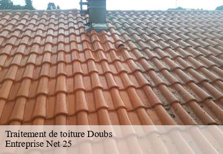 Traitement de toiture  doubs-25300 Entreprise Net 25 