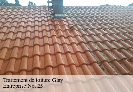 Traitement de toiture  glay-25310 Entreprise Net 25 