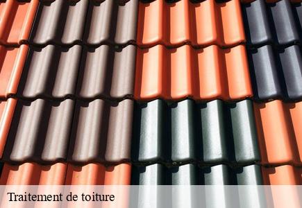 Traitement de toiture  lavans-vuillafans-25580 Entreprise Net 25 