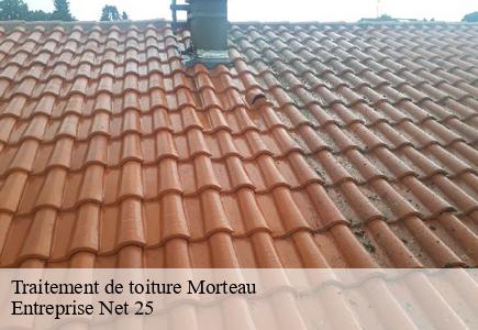 Traitement de toiture  morteau-25500 Entreprise Net 25 