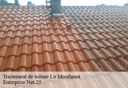 Traitement de toiture  le-moutherot-25170 Entreprise Net 25 