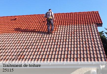 Traitement de toiture  pouilley-les-vignes-25115 Entreprise Net 25 