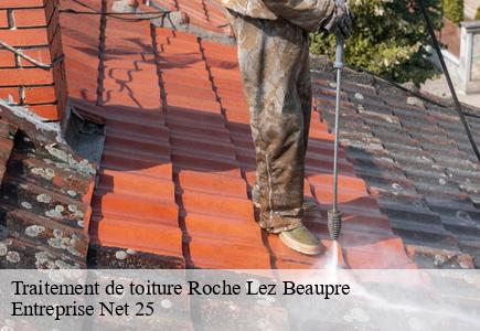 Traitement de toiture  roche-lez-beaupre-25220 Entreprise Net 25 