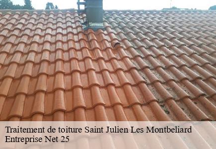 Traitement de toiture  saint-julien-les-montbeliard-25550 Entreprise Net 25 